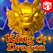 Mẹo bảo mật cho người dùng vn23