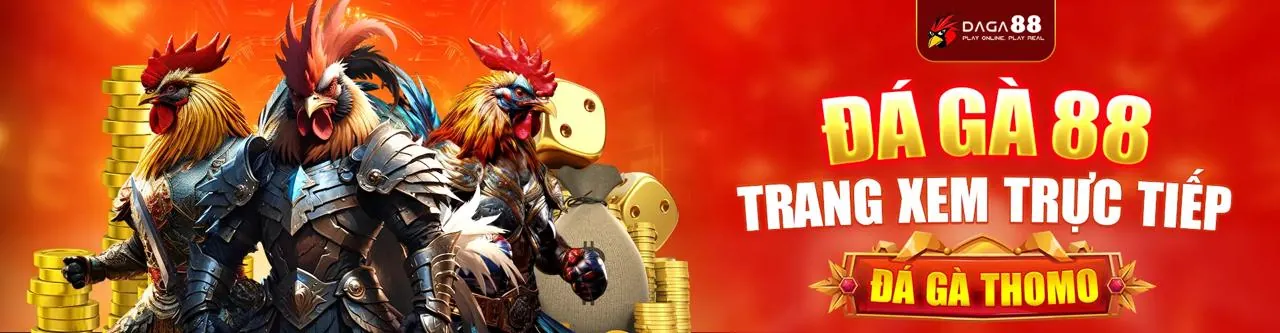 Đấu trường đá gà trực tuyến kịch tính tại VN23 Login